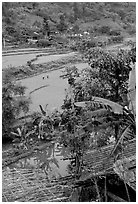 Rice fields near Cho Ra. Northeast Vietnam (black and white)