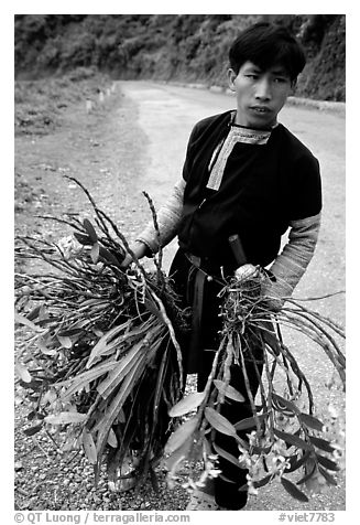 Man of Hmong ethnicity selling wild orchids, near Moc Chau. Vietnam (black and white)