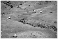 Homes on hillside, between Yeu Chau and Son La. Northwest Vietnam ( black and white)