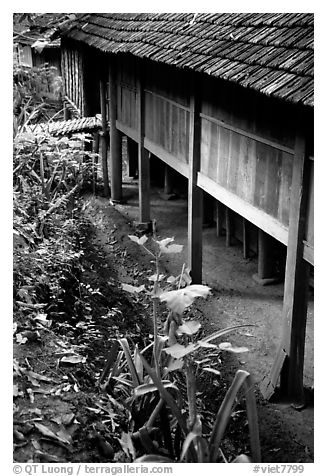 Stilt house detail, in a village near Son La. Northwest Vietnam (black and white)