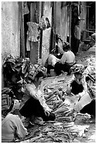 Thai women in the market, Tuan Chau. Northwest Vietnam (black and white)