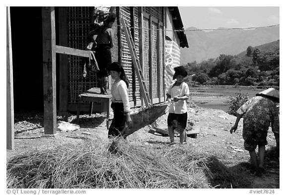Thai women repair a house, Tuan Giao. Northwest Vietnam (black and white)