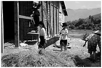 Thai women repair a house, Tuan Giao. Northwest Vietnam (black and white)