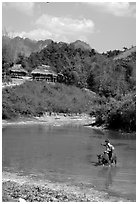 Thai woman riding a water buffalo across a pond near a village, near Tuan Giao. Northwest Vietnam (black and white)