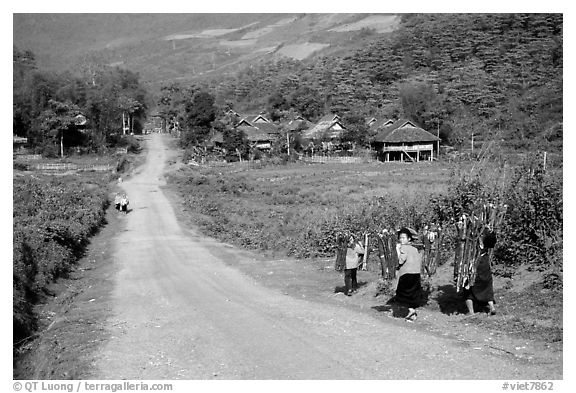 Family carrying logs walking towards their village, between Tuan Giao and Lai Chau. Northwest Vietnam (black and white)