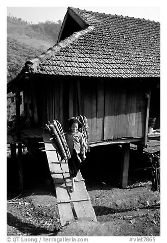 Montagnard child carries logs out of her house, between Tuan Giao and Lai Chau. Northwest Vietnam (black and white)