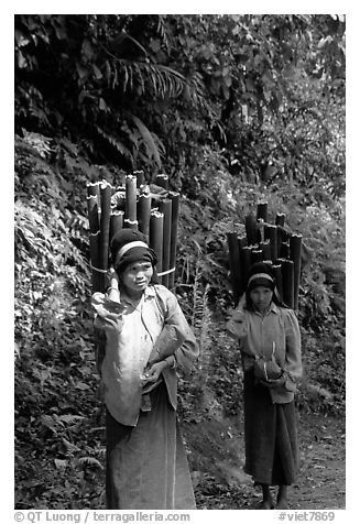 Montagnard women carrying bamboo sections, near Lai Chau. Northwest Vietnam (black and white)
