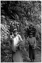 Montagnard women carrying bamboo sections, near Lai Chau. Northwest Vietnam (black and white)