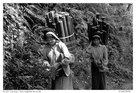 Montagnard women carrying bamboo sections, near Lai Chau. Northwest Vietnam (black and white)