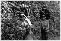 Montagnard women carrying bamboo sections, near Lai Chau. Northwest Vietnam ( black and white)