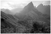 View from the Tram Ton Pass near Sapa. Sapa, Vietnam ( black and white)