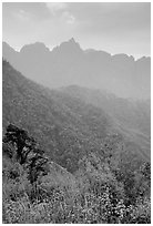 Forests and peaks in the Tram Ton Pass area. Sapa, Vietnam (black and white)