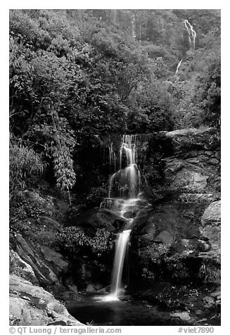 Silver Falls (Thac Bac) near Sapa. Sapa, Vietnam (black and white)