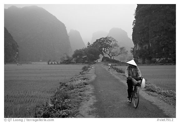 Bicyclist on a dry levee. Ninh Binh,  Vietnam