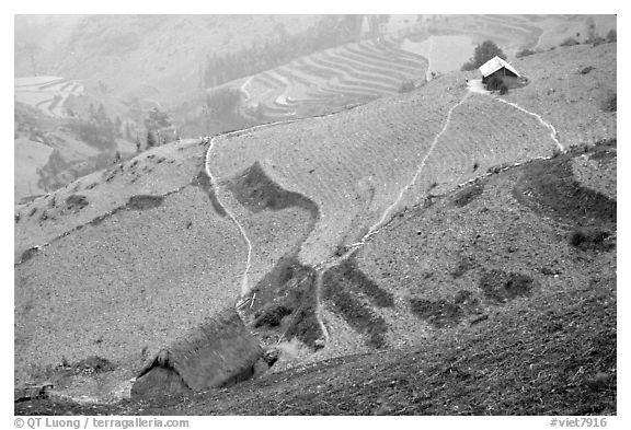 Dry cultivated terraces. Vietnam (black and white)