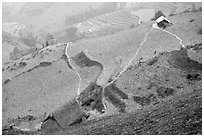 Dry cultivated terraces. Vietnam ( black and white)