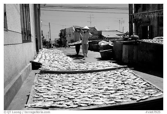 Women carrying a panel of dried fish. Vung Tau, Vietnam (black and white)