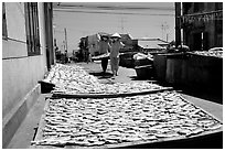 Women carrying a panel of dried fish. Vung Tau, Vietnam (black and white)