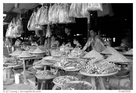 A variety of dried shrimp and fish for sale. Ha Tien, Vietnam
