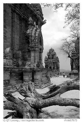 Among the Cham towers of Po Klong Garai. Vietnam (black and white)