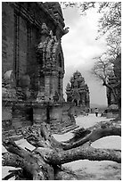 Among the Cham towers of Po Klong Garai. Vietnam ( black and white)