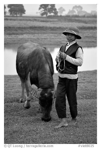 Boy wearing the Boi Doi military hat popular in the North, with water buffalo, near Ninh Binh. Vietnam