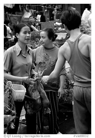 Market scene. Hanoi, Vietnam (black and white)