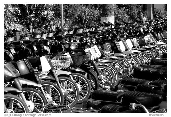 With that many motorcycles, valet parking is necessary. Ho Chi Minh City, Vietnam (black and white)