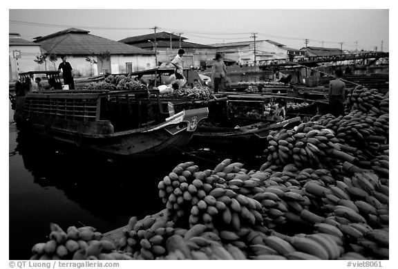 Boats bring loads of produce from the Delta on the Saigon arroyo. Cholon, Ho Chi Minh City, Vietnam (black and white)