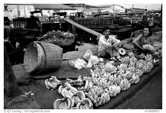 Selling freshly unloaded bananas near the Saigon arroyo. Cholon, Ho Chi Minh City, Vietnam