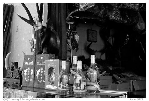 Traditional medicine is still favored by the population. A sample of traditional medicine items. Cholon, Ho Chi Minh City, Vietnam (black and white)