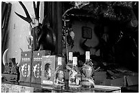 Traditional medicine is still favored by the population. A sample of traditional medicine items. Cholon, Ho Chi Minh City, Vietnam (black and white)