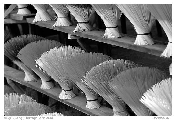 Incense sticks. Hue, Vietnam (black and white)