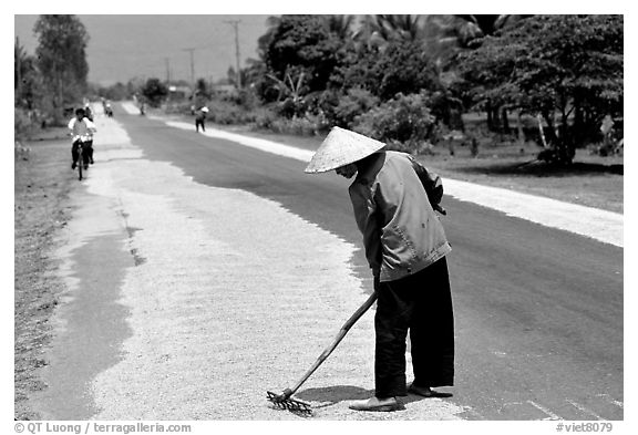 Rice being dried on sides of road. Mekong Delta, Vietnam (black and white)