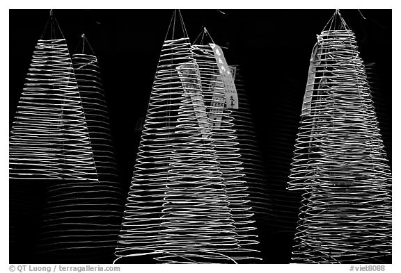 Incense coils  at a Chinese temple in Cho Lon, designed to burn for days. Cholon, District 5, Ho Chi Minh City, Vietnam (black and white)