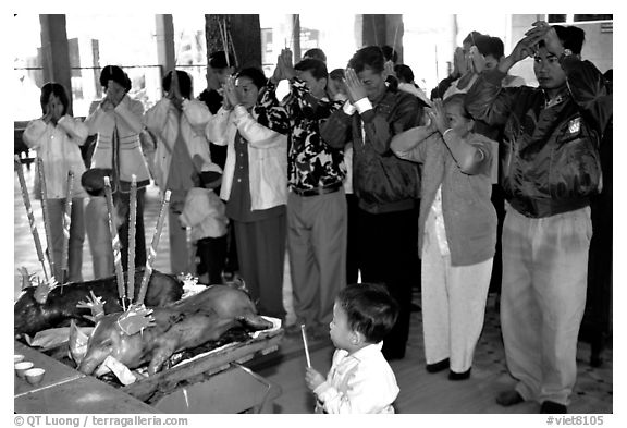 Roasted pigs (rented) offered at Lady Chua Xu temple, a pagan tradition. Chau Doc, Vietnam (black and white)