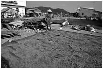 Shrimp being dried. Ha Tien, Vietnam ( black and white)