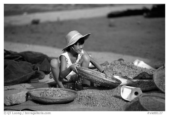 Girl sorting dried shrimp. Ha Tien, Vietnam (black and white)