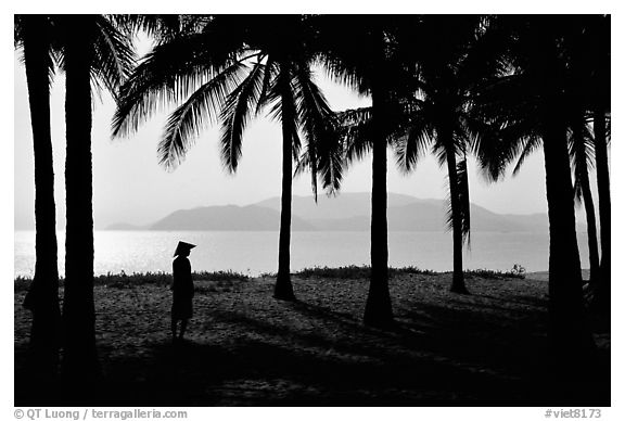 Palm-tree fringed beach, Nha Trang. Vietnam