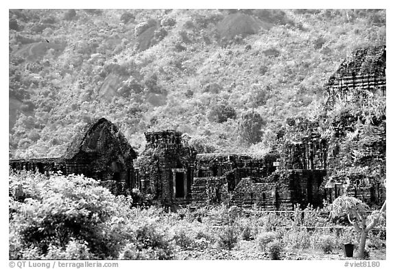Ancient Cham Temples set in jungle. My Son, Vietnam (black and white)