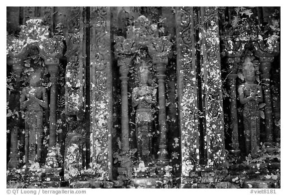 Vegetation invades ruined Cham temple. My Son, Vietnam (black and white)