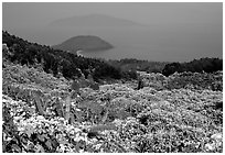 Hai Van (sea of clouds) pass marks the climatic limits of the South, between Da Nang and Hue. Vietnam ( black and white)