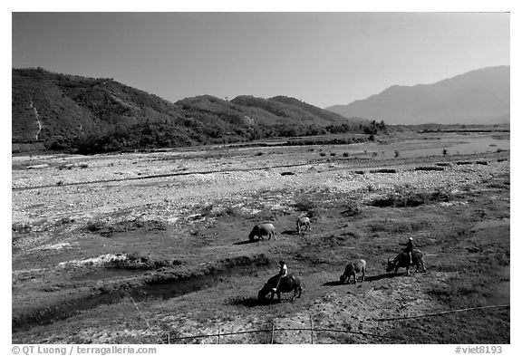 Field close to Lao border, only 50 miles from the coast, Nam Dong. Vietnam (black and white)