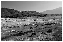 Field close to Lao border, only 50 miles from the coast, Nam Dong. Vietnam (black and white)