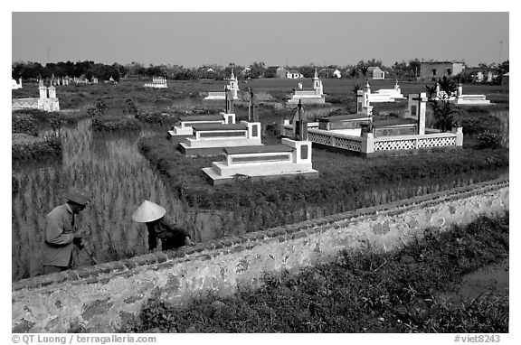 Catholic tombs set in rice field. Ninh Binh,  Vietnam (black and white)