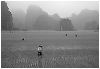 Pictures of North Central Vietnam