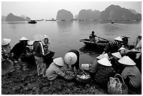 Fresh catch. Halong Bay, Vietnam (black and white)