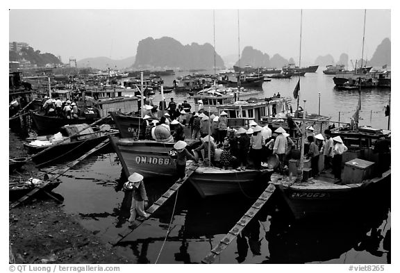 Harbor in Hong Gai. Halong Bay, Vietnam