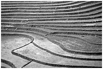 Terraced rice fields. Sapa, Vietnam (black and white)