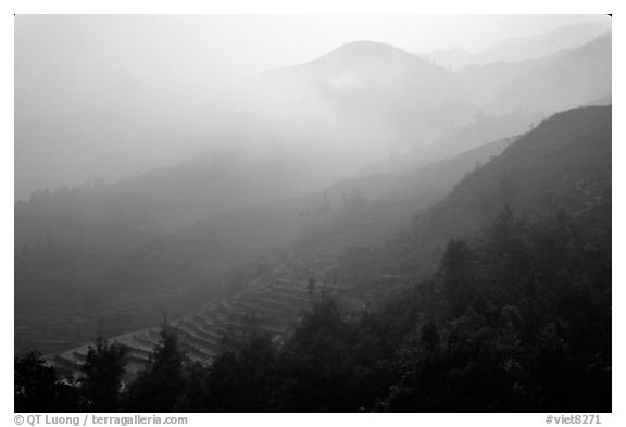 Morning fog on terraced rice fields. Sapa, Vietnam (black and white)